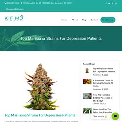 6 Cannabis Strains to Help You Fight Depression