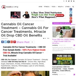 Cannabis Oil Cancer Treatment - CBD Oil For Cancer Miracle Oil Drop