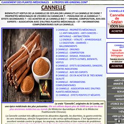 CANNELLE
