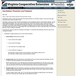 Cannibalism: Prevention and Treatment - Virginia Cooperative Extension