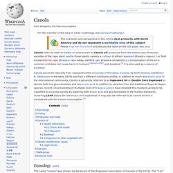 Canola - Wikipedia, the free encyclopedia - (Build 2010040106463