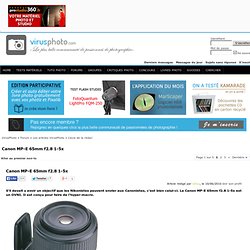 Canon MP-E 65mm f2.8 1-5x