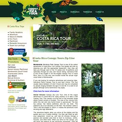 canopy tour zip line tours in costa rica