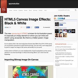 HTML5 Canvas Image Effects: Black & White