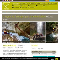 4h30 de Canyoning en Vercors, Les Ecouges, Rappels, Sauts et toboggans