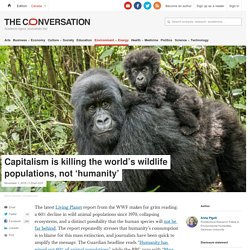 Capitalism is killing the world's wildlife populations, not 'humanity'