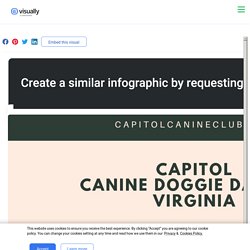 Capitol Canine Doggie Day Care Virginia