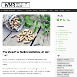 Why Should You Add Kratom Capsules In Your Life?