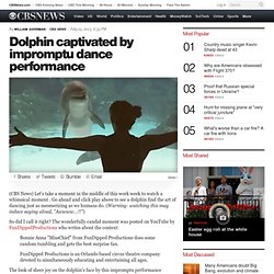 Dolphin captivated by impromptu dance performance - The Feed Blog