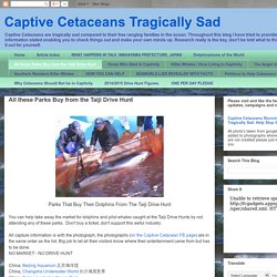 Captive Cetaceans Tragically Sad: All these Parks Buy from the Taiji Drive Hunt