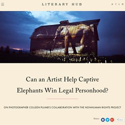 Can an Artist Help Captive Elephants Win Legal Personhood?