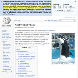 Captive killer whales