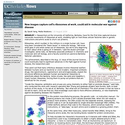 08.20.2009 - New images capture cell's ribosomes at work, could aid in molecular war against disease
