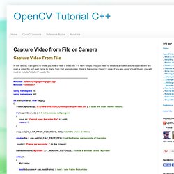 Capture Video from File or Camera