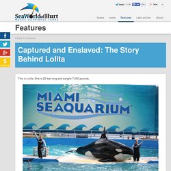 Captured and Enslaved: The Story Behind Lolita