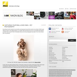 Capturing your real loved ones - Pet Photography