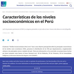 Características de los niveles socioeconómicos en el Perú