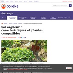 Sol argileux : caractéristiques et plantes compatibles