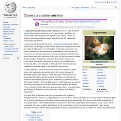 Carassius auratus