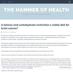Is ketosis and carbohydrate restriction a viable diet for brain cancer? – The Hammer of Health
