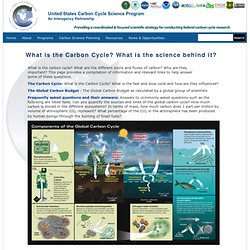 What is the Carbon Cycle? What is the science behind it?