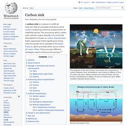 Carbon sink