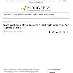 From carbon sink to source: Brazil puts Amazon, Paris goals at risk