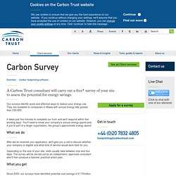 Carbon Surveys