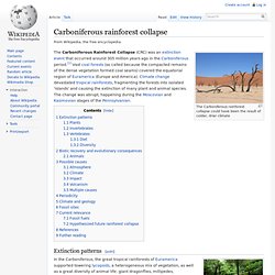 Carboniferous Rainforest Collapse : 305mya