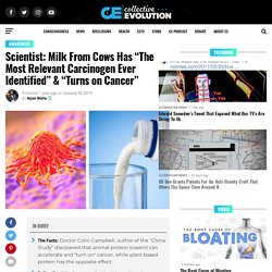 Scientist: Milk From Cows Has “The Most Relevant Carcinogen Ever Identified” & “Turns on Cancer”
