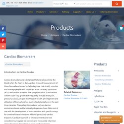 Cardiac Biomarkers Antigen