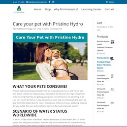 Care your pet with Pristine Hydro - Pristine Revival