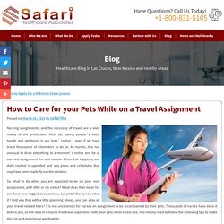 How to Care for your Pets While on a Travel Assignment