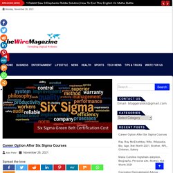Career Option After Six Sigma Courses - TheWireMagazine