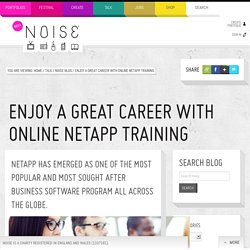Enjoy A Great Career With Online Netapp Training