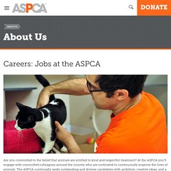 Careers: Jobs at the ASPCA