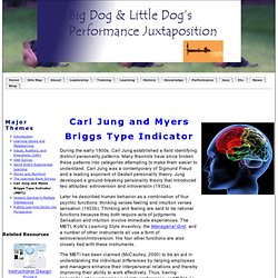 Carl Jung and Myers Briggs Type Indicator