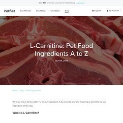 L-Carnitine: Pet Food Ingredients A to Z – petnet.io