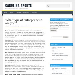 What type of entrepreneur are you?