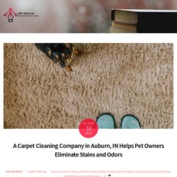 A Carpet Cleaning Company in Auburn, IN Help Get Rid Of Stains & Odors