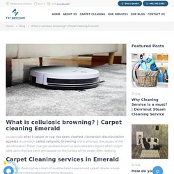carpet cleaning emerald