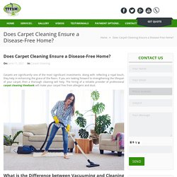Does Carpet Cleaning Ensure a Disease-Free Home? -