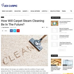 How Will Carpet Steam Cleaning Be In The Future? - Flex Campic