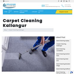 Top Carpet Cleaning Kallangur