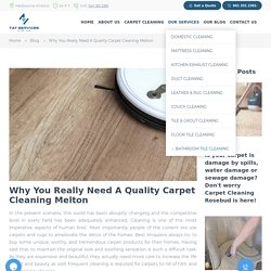 Carpet Cleaning Melton