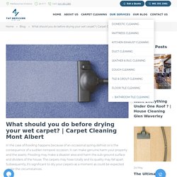 carpet cleaning mont albert