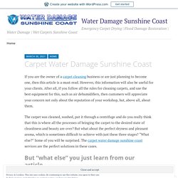 Carpet Water Damage Sunshine Coast – Water Damage Sunshine Coast