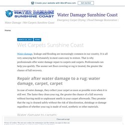 Wet Carpets Sunshine Coast – Water Damage Sunshine Coast