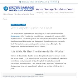 Wet Carpets Sunshine Coast – Water Damage Sunshine Coast