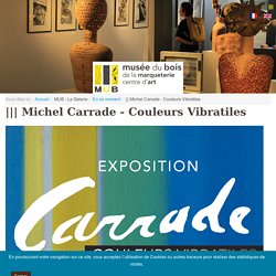 Michel Carrade - Couleurs Vibratiles